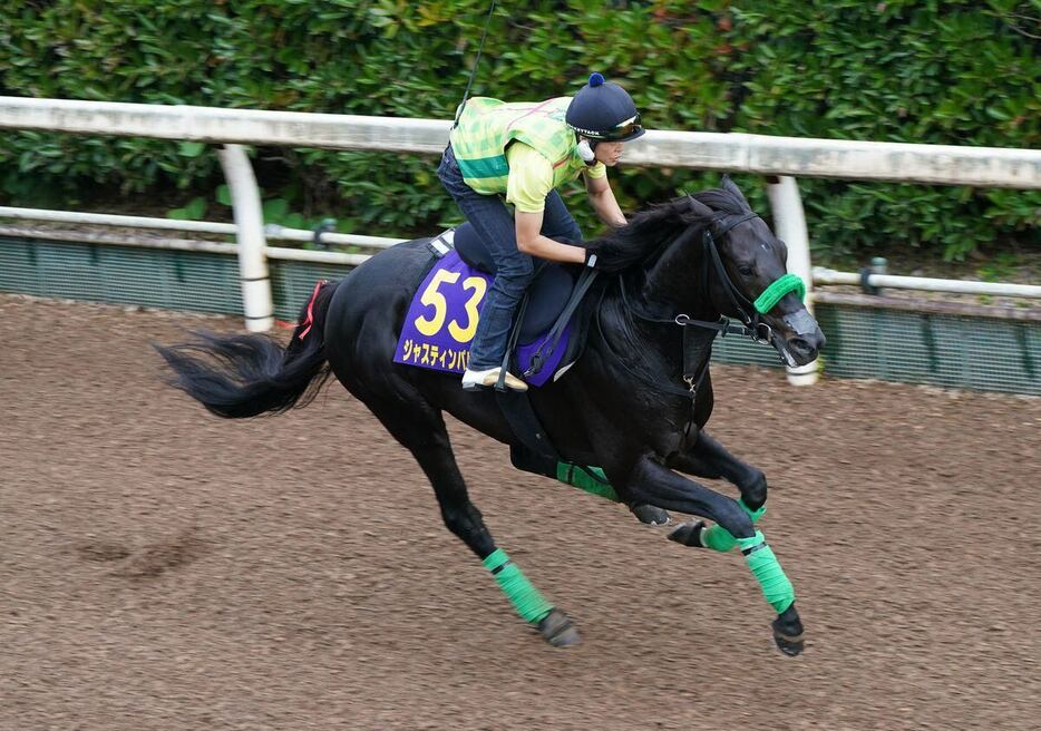 天皇賞・秋の追い切りを行ったジャスティンパレス＝栗東トレセン（撮影・岩川晋也）