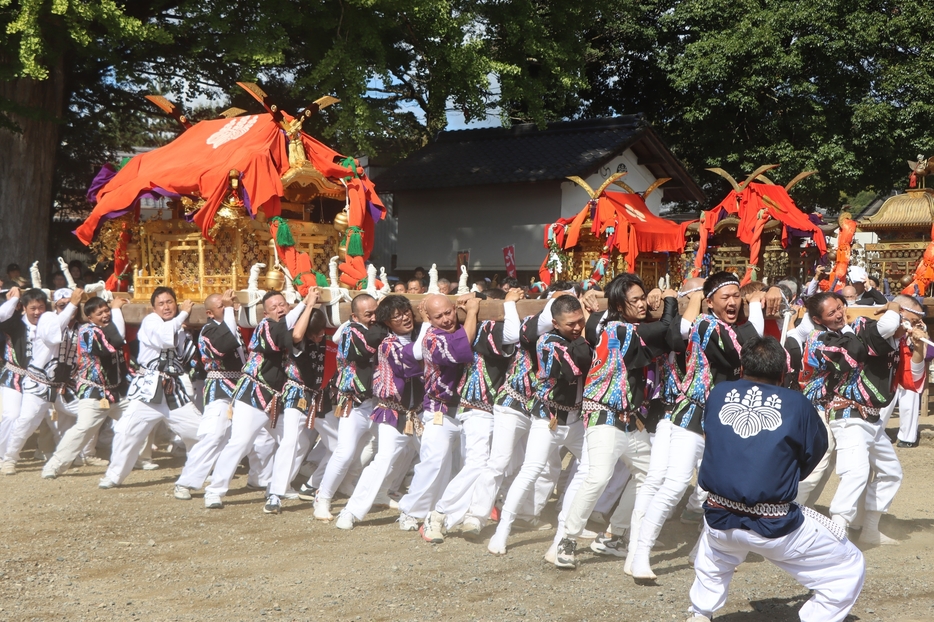 境内で威勢の良いかけ声を響かせ、上下左右にみこしを暴れさせる男衆たち＝2024年10月13日午前11時14分、兵庫県丹波市市島町中竹田で