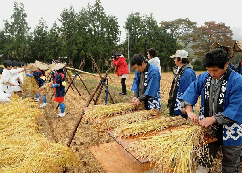 宮中行事の新嘗祭に新穀を献上したことでも知られ、村民から選ばれた「斎耕者」が田んぼを管理