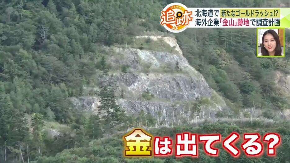 段になっている山の斜面