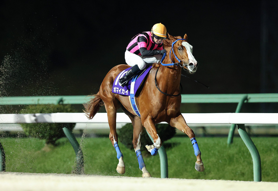 ネクストスター盛岡・ポマイカイと高松亮騎手 (C)岩手県競馬組合