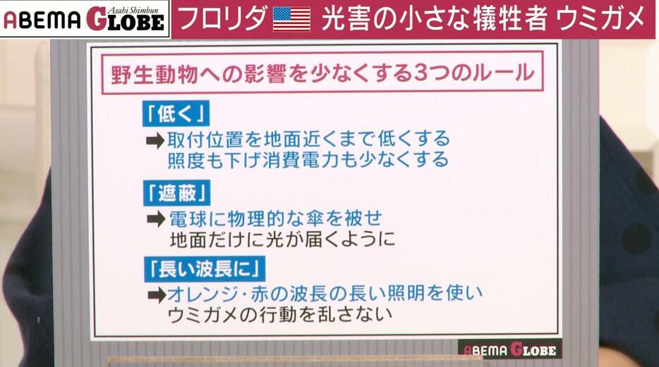 野生動物への影響を少なくする3つのルール