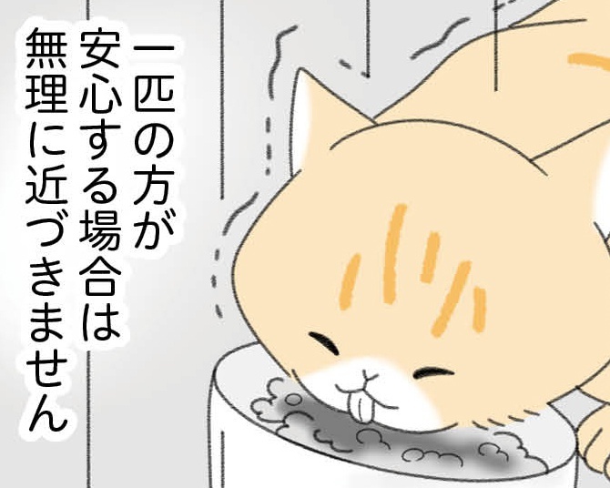 漫画「にゃんかつ」より