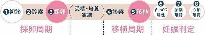 ※上記の数字は治療回数の目安です