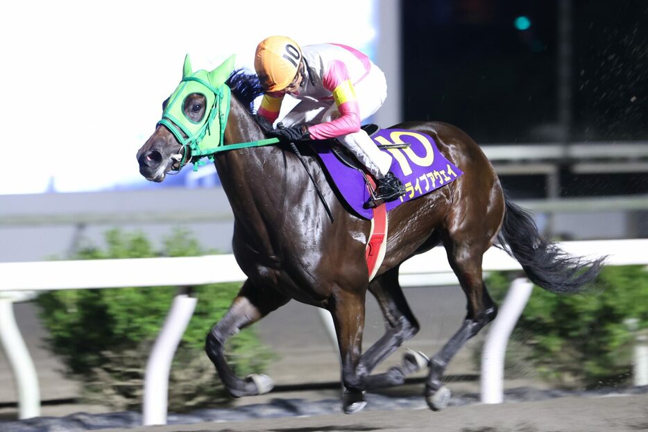 ネクストスター高知・ドライブアウェイと多田羅誠也騎手 (C)高知県競馬組合