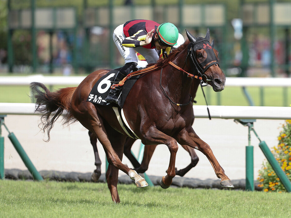 秋華賞での大駆けが期待されるチルカーノ　photo by Eiichi Yamane/AFLO