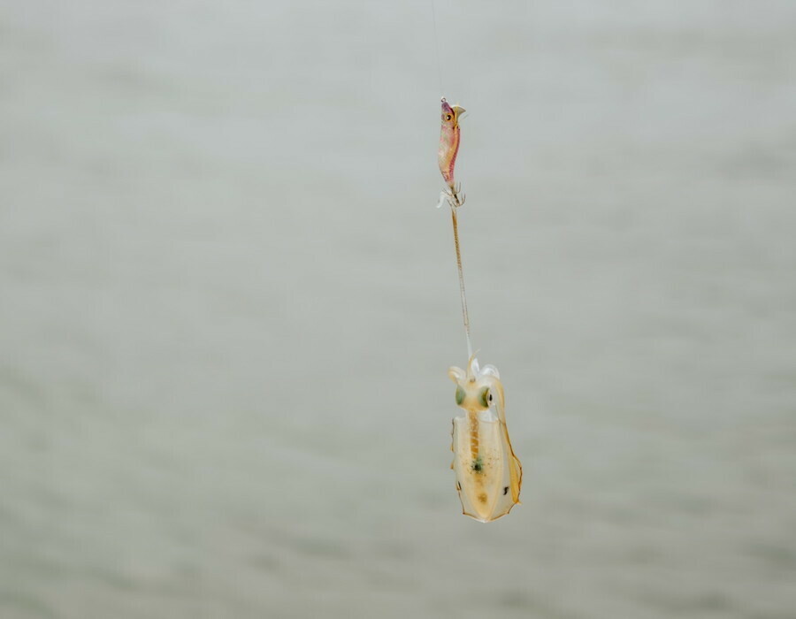 写真：SALT WORLD