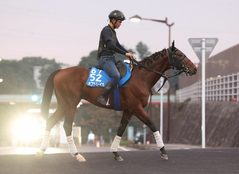 馬トク激走馬に算出されたオフトレイル