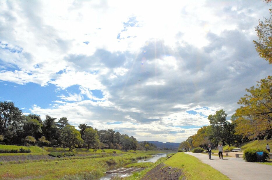 「霜降」にもかかわらず、暑い日差しが降り注ぎ、夏日の年間記録を更新した京都市内（２０２４年１０月２３日午前１０時、京都市北区・北山大橋付近の鴨川）