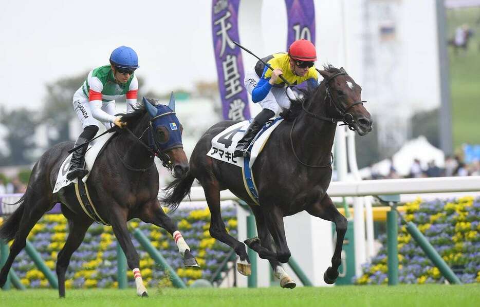 ロジャリーマイン（左）との競り合いを制し白星発進のアマキヒ＝東京競馬場（撮影・岩川晋也）