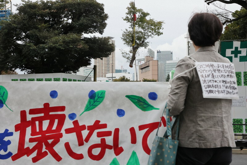 反対の声をあげる人たちが見つめるなか、伐採が始まった神宮外苑のケヤキの木＝東京都新宿区で2024年10月28日午後2時19分、和田大典撮影