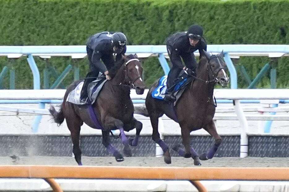 ドウデュース（手前）はDPコースでパワフルな脚さばきを披露した（撮影・岩川晋也）