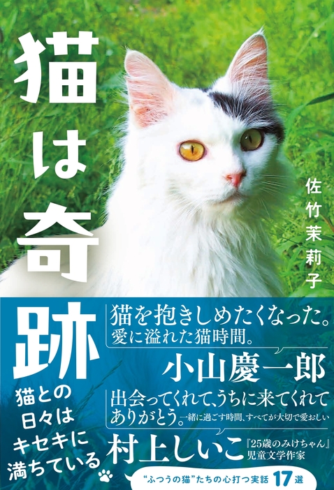 「猫を抱きしめたくなった。愛に溢れた猫時間。」 (小山慶一郎)