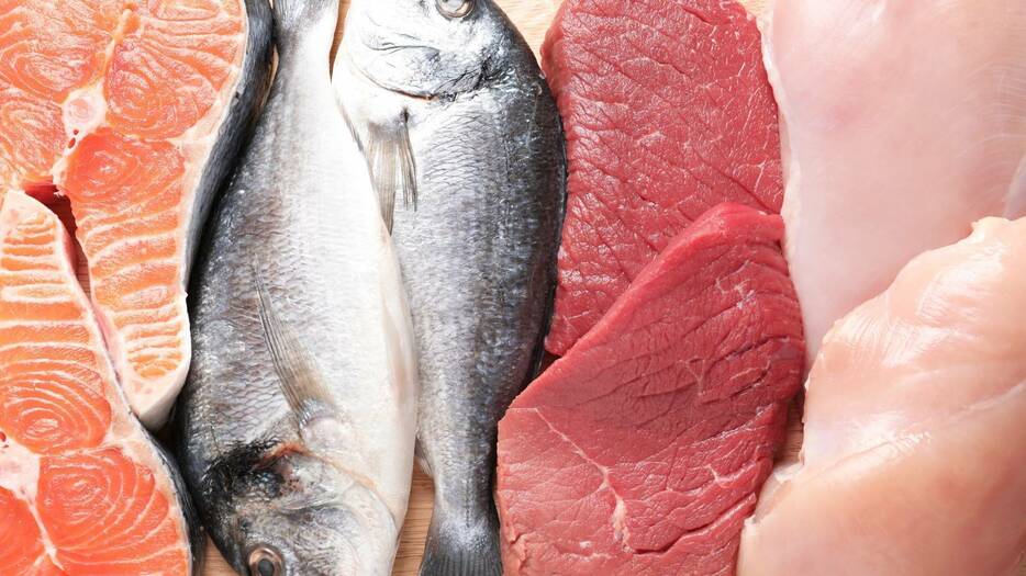 「肉」と「魚」たんぱく質に違いはあるの？どちらを食べるべき？管理栄養士が解説]