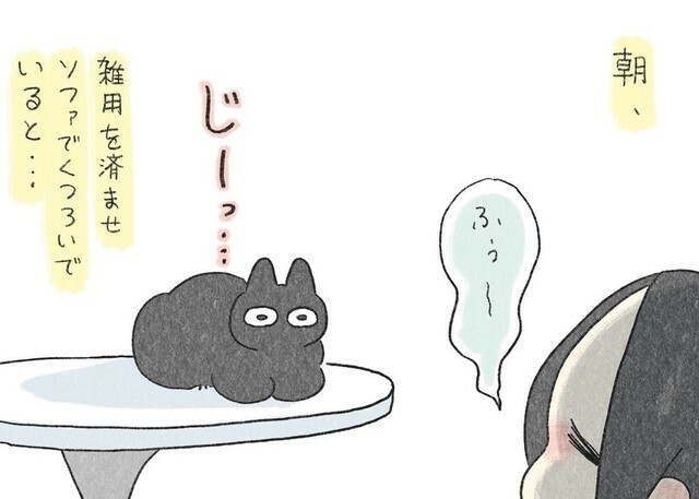 飼い主の様子を伺い何かを考えるくろもちゃん© 2024 In.S_そーい All rights reserved.