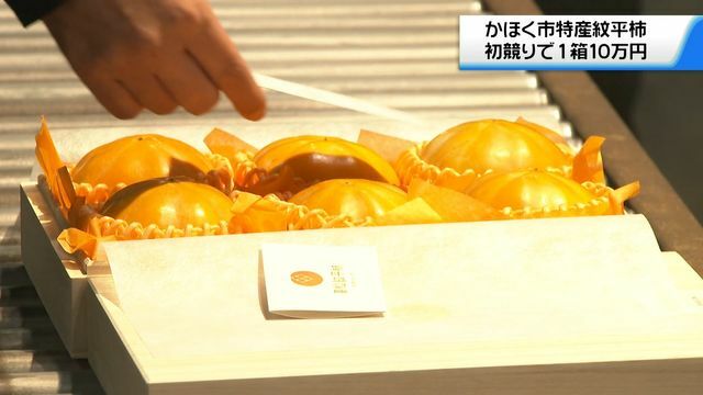 テレビ金沢NEWS