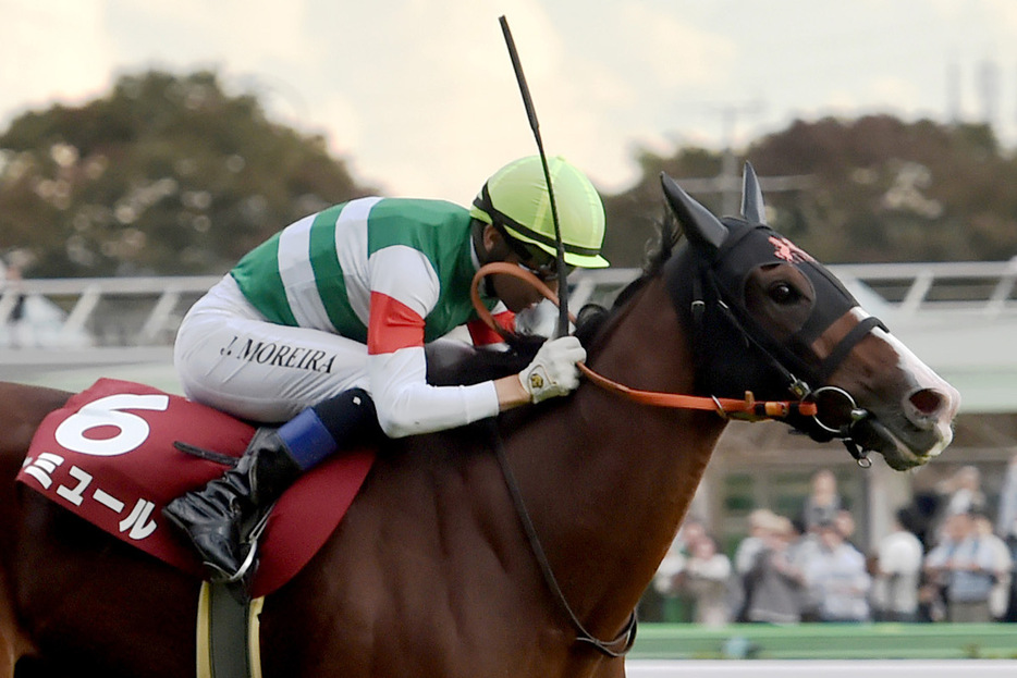 昨年は１番人気ナミュールが勝利