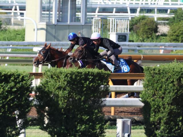 菊花賞に出走予定のダノンデサイル(写真奥、撮影：井内利彰)