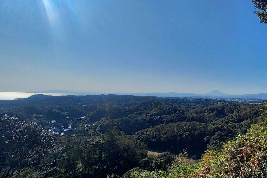 天園からの展望。青空のもと相模湾と富士山が見渡せる（撮影：河野美花）