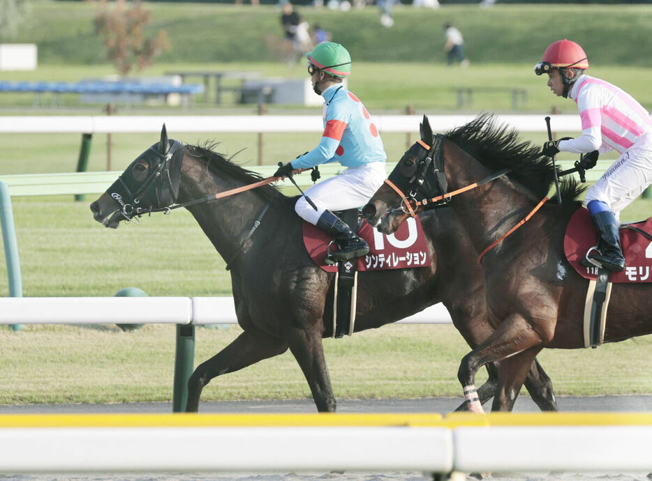 ２着のシンティレーション（左、カメラ・荒牧　徹）