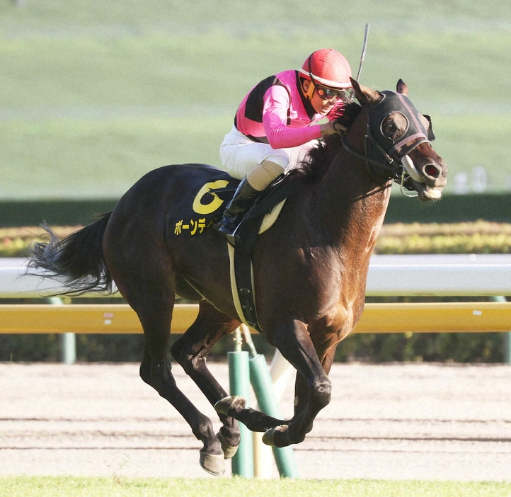 ＜オクトーバーS＞レースを制したボーンディスウェイ（撮影・村上　大輔）