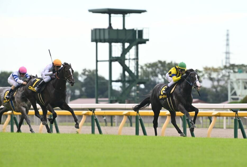 デビュー2連勝でアイビーSを制したマスカレードボール　＝19日、東京競馬場（撮影・奈良武）