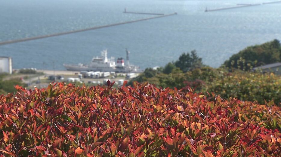 海を見ながら紅葉楽しめる