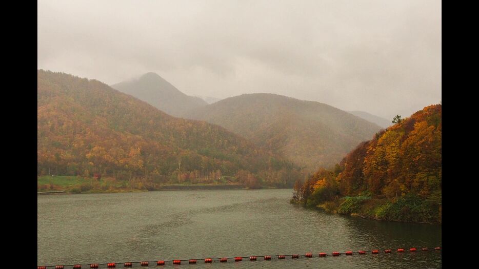 ダム湖と紅葉がマッチ