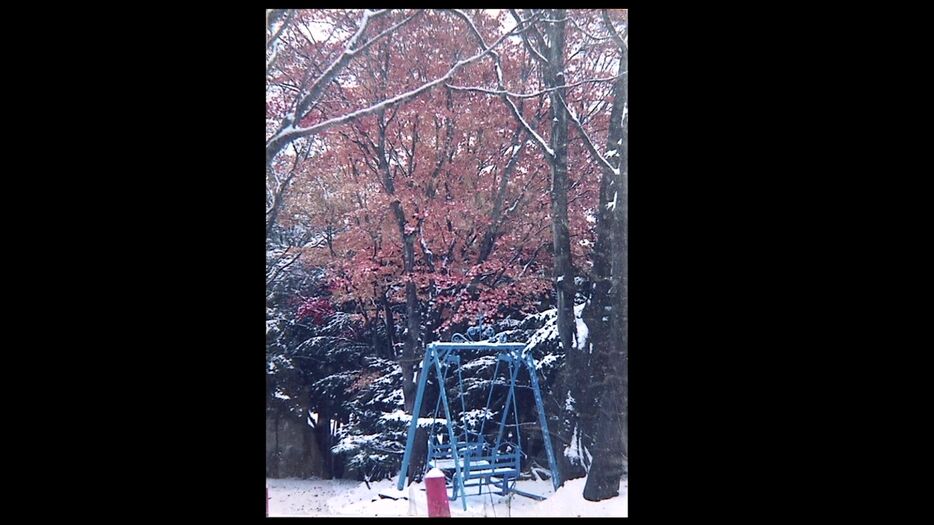 雪と紅葉を一緒に楽しめるかも