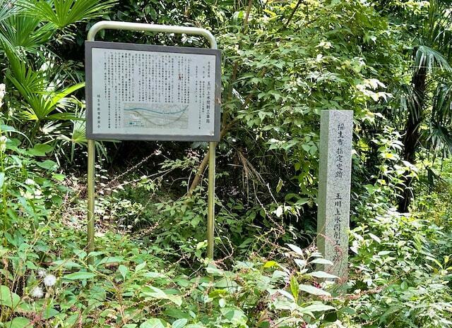 看板前にも石碑の回りにも雑草がモッサリ