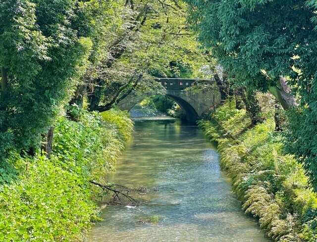 日光橋と玉川上水