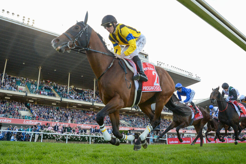 コックスプレート・プログノーシスとD.レーン騎手 (Photo by Reg Ryan/Racing Photos)