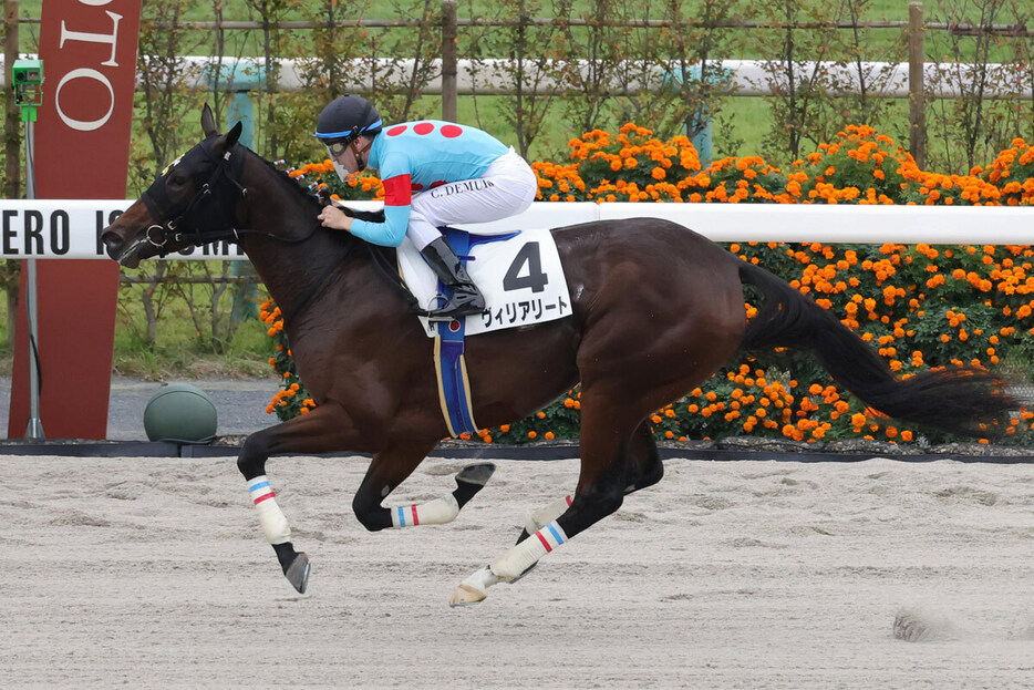 ヴィリアリートが人気に応えて快勝した