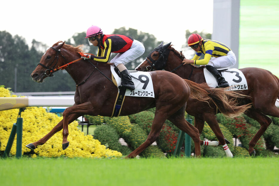 北村友一騎手騎乗のブルーミングローズ（左）がゴール前抜け出す　（右は３着のカルドウェル）（カメラ・高橋　由二）