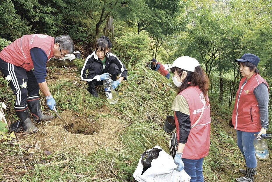 遊歩道沿いの斜面に植樹する参加者