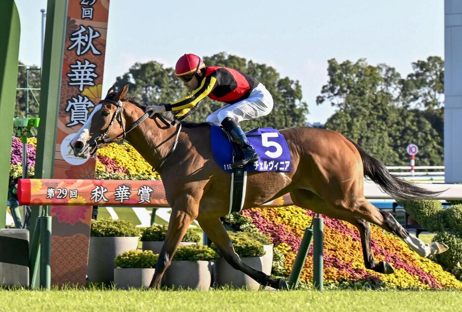 第29回秋華賞でゴールする優勝したチェルヴィニア＝京都競馬場