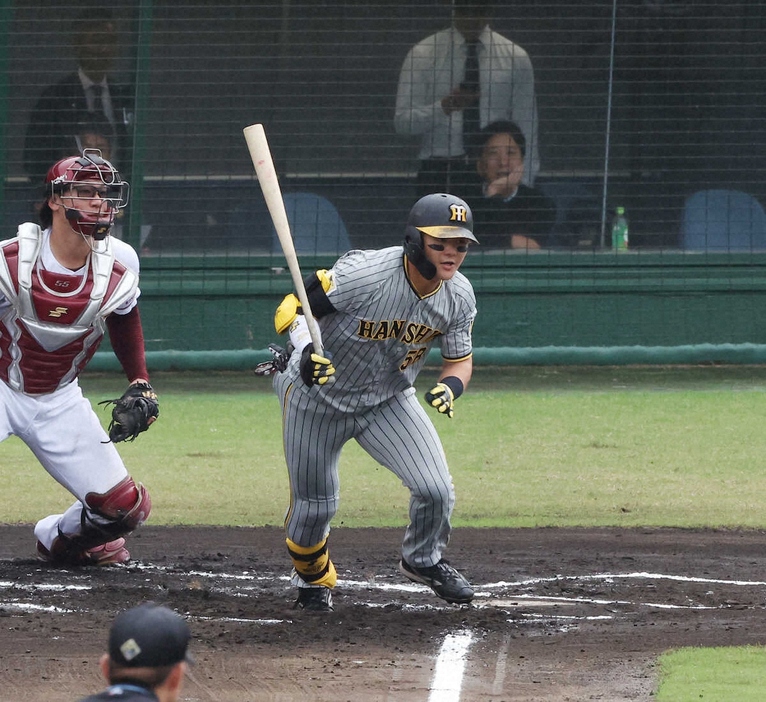 ＜フェニックスリーグ　楽・神＞　藤川監督の視察する中、快音を放つ阪神・前川（撮影・大森　寛明）