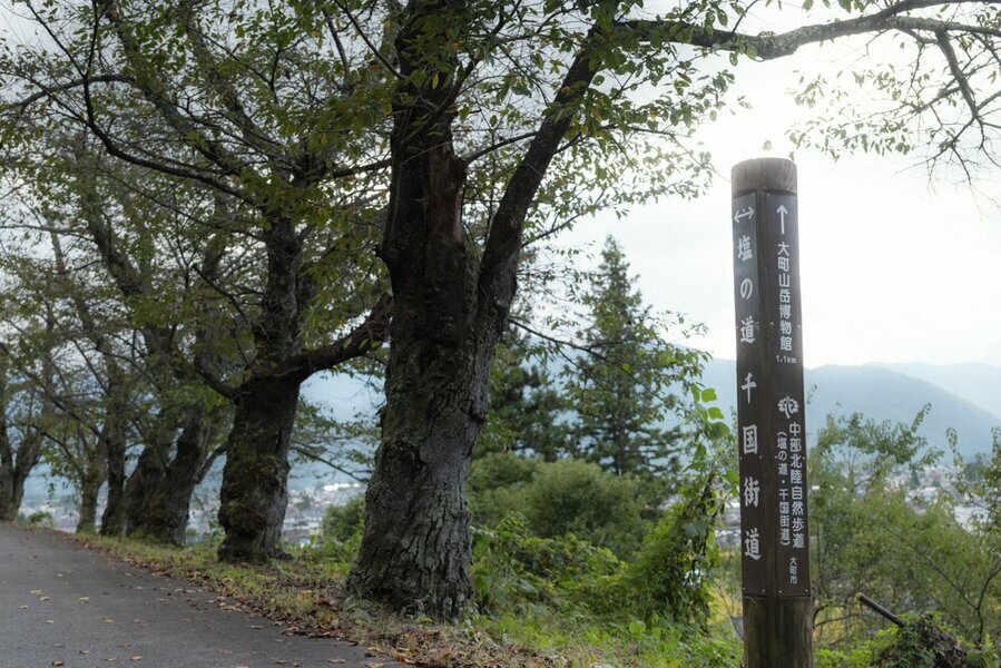 古道が残る景色を探す