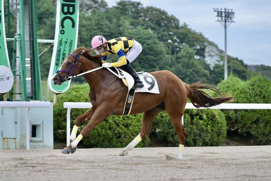 地方競馬通算500勝を達成した飛田愛斗（佐賀県競馬組合提供）