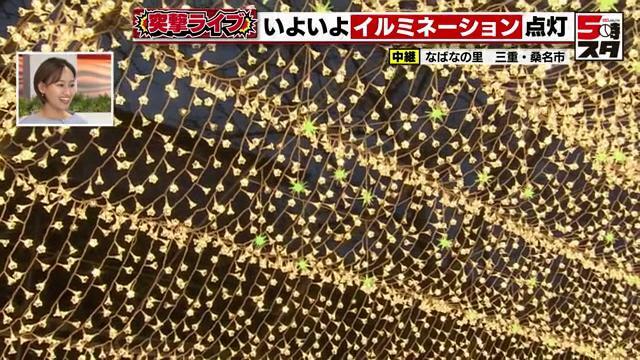 いくつか星の形をした緑色の電球が見える