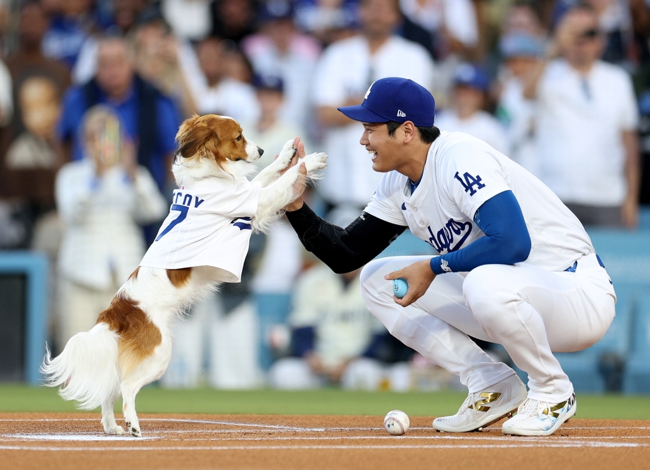 8月28日の始球式に登場したデコピンは大役を果たして大谷とハイタッチ HARRY HOW/GETTY IMAGES