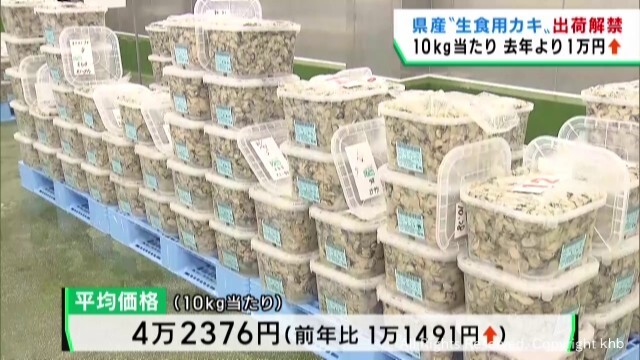 宮城県産カキ出荷