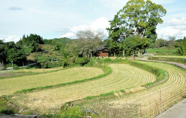 キャンプ場として貸し出される熊本県美里町白石野地区の棚田=2024年10月18日午後3時30分、吉田啓撮影