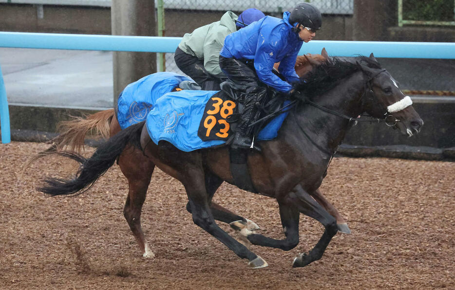 ダノンアンチュラス（手前）は美浦ウッドを併せ馬で追い切られた（撮影・丹羽敏通）