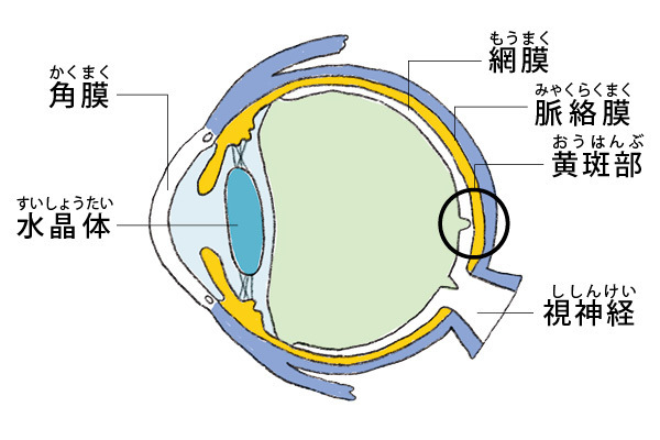 ハルメク365