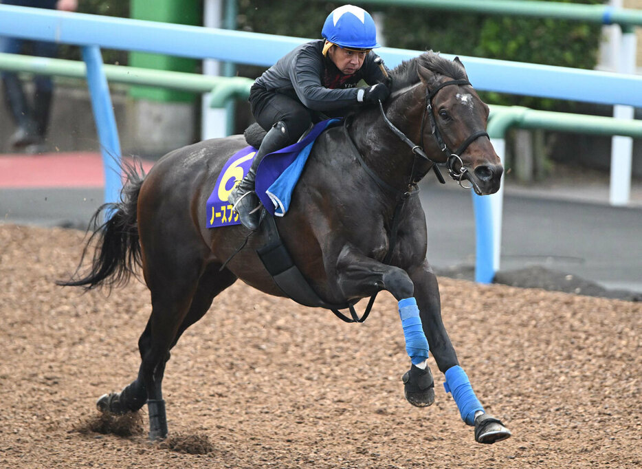 必勝ローテを組んできたノースブリッジ