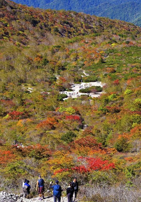 色づきが進む姥ケ平周辺の紅葉＝13日午前10時20分、那須町湯本