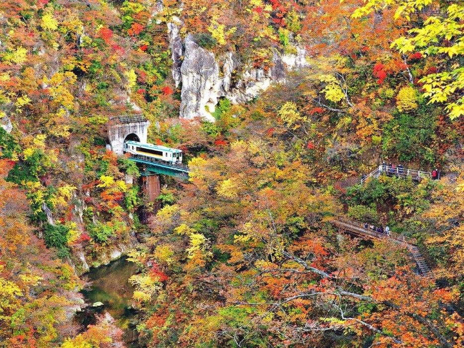 見頃を迎えそうな紅葉名所をピックアップ　※写真は鳴子峡の紅葉