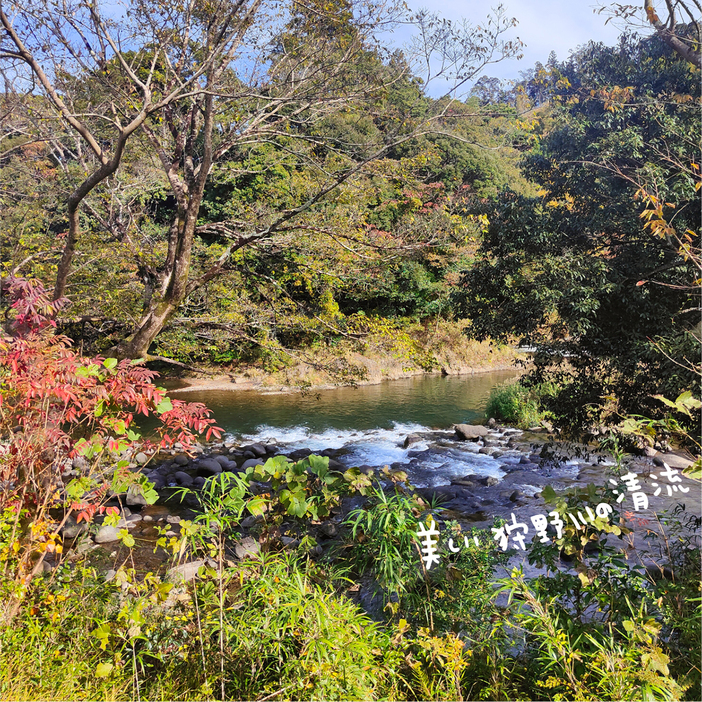 テラス席から望める狩野川