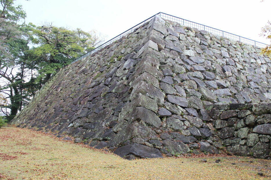 福岡城（「Webサイト 日本の城写真集」より）